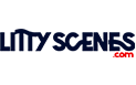 littyscenes-blog-website-nigeria-abuja-seo-digital-marketing